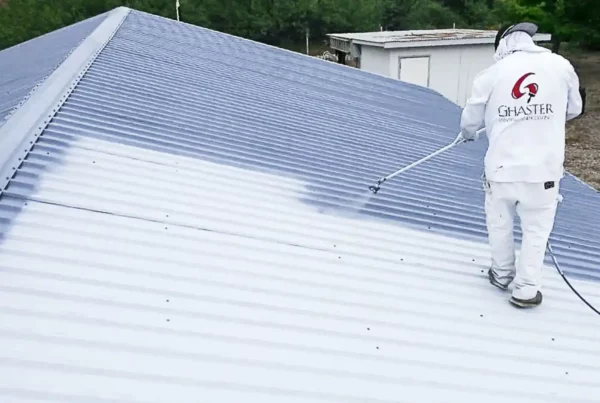 Ghaster painting guy painting the roof